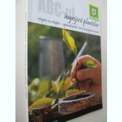ABC-ul ingrijirii plantelor etapa cu etapa