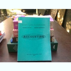 Accounting  - Elena Ciucur  (contabilitate)