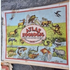 Atlas Zoologic cu Peste 215 Ilustratii Colorate