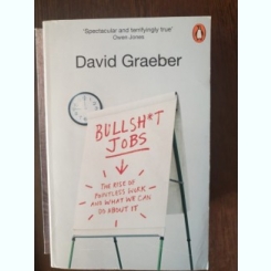 David Graeber - Bullsh*t jobs. The rise of pointless work and what we can do about it