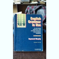ENGLISH GRAMMAR IN USE - RAYMOND MURPHY