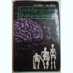 EVOLUTIA GINDIRII IN ANATOMIA OMULUI DE I.TH.RIGA SI GH.CALIN , 1970