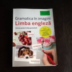 Gramatica in imagini a limbii engleza - Brian Melican
