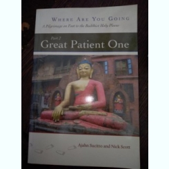 Great Patient One Dhamma Books  - Ajahn Sucitto, Nick Scott