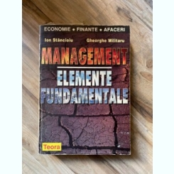 Ion Stancioiu - Management. Elemente fundamentale