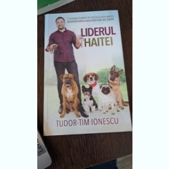 Liderul haitei de Tudor-Tim Ionescu