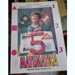 Mariana Mitea, Alina Birta - Matematica. Manual pentru clasa a V-a