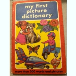 My first picture dictionary - Albin Stanescu
