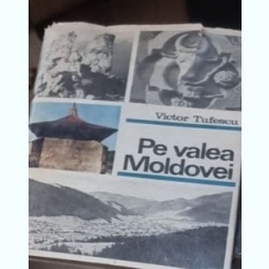 Pe Valea Moldovei - Victor Tufescu