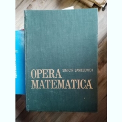 Simion Sanielevici - Opera Matematica