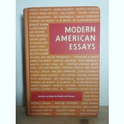 Sylvia Z. Brodkin, Elizabeth J. Pearson - Modern American Essays
