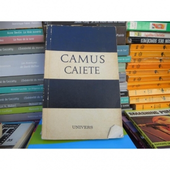 Caiete , Albert Camus