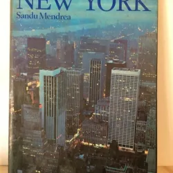 Sandu Mendrea - New York