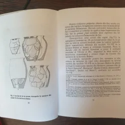 Jean Ciuta, Ioan Mitrea - Bahna-Neamt straveche asezare de razesi