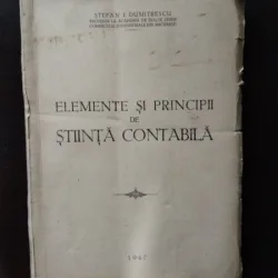 Stefan I. Dumitrescu - Elemente si Principii de Stiinta Contabila