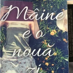 Maine e o Noua Zi - Lori Nelson Spielman