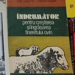 Pop Augustin - Indrumator Pentru Cresterea si Ingrasarea Tineretului Ovin