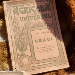 Graul - Ernest Grintescu