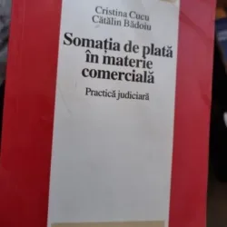 Cristina Cucu, Catalin Badoiu - Somatia de plata in materie comerciala
