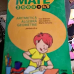 Mate 2000 - Algebra, Geometrie, Aritmetica partea a II-a - Dan Branzei, Dan Zaharia, Maria Zaharia  clasa a IV-a