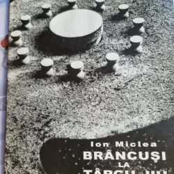 Ion Miclea - Brancusi la Targu Jiu