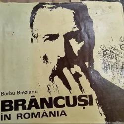 Barbu Brezianu - Brancusi in Romania