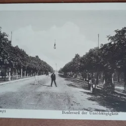Carte postala, necirculata, bulevar in Ploiesti, inceput de secol XX
