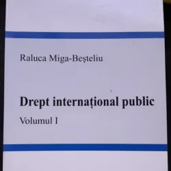 Drept international public - Raluca Miga Besteliu vol.1