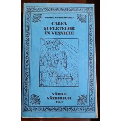 Calea sufletelor in vesnicie - Nicodim Mandita  vol.1 Vamile vazduhului