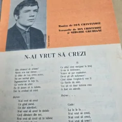 Partitura, N-ai vrut sa crezi - Ion Cristinoiu