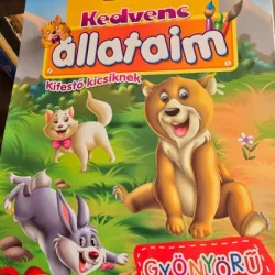 Planse de colorat cu animalele mele preferate (carte in limba maghiara)