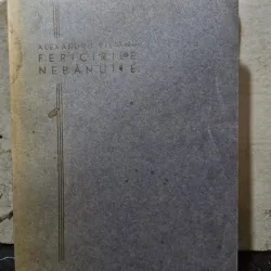 Fericirile nebanuite - Alexandru Vitianu