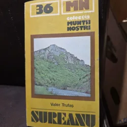 Muntii Sureanu - Valer Trufas