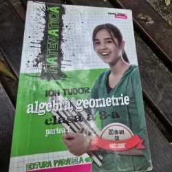 Algebra, Geometrie clasa a 8-a Partea I - Ion Tudor