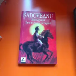 Hanu-Ancuței. Țara de dincolo de negură - Mihail Sadoveanu