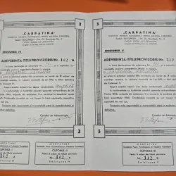 Adeverință-titlu provizoriu din 1946 pentru acțiunile emisiunii V ale societății Carpatina - Societate Anonimă Românească Pentru Industria Forestieră, cu sediul în București.