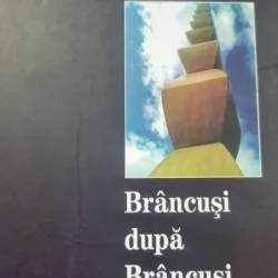 Brancusi dupa Brancusi - Ioan Viorel Badica