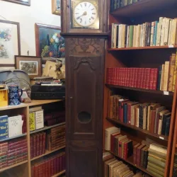 Pendulă de Podea Grandfather Clock – Stil Provensal, Secolul XIX-XX