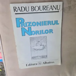 Prizonierul Norilor - Radu Boureanu