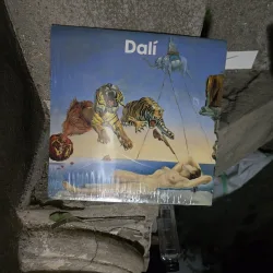 Dalí - Necunoscut