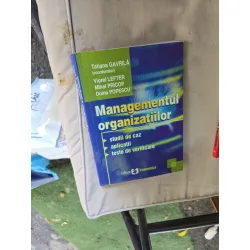 Managementul organizațiilor - Tatiana Gavrilă, Viorel Lefter, Mihai Pricop, Doina Popescu