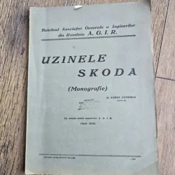 Uzinele Skoda (Monografie) - Aurel Zănescu, inginer-șef
