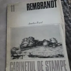 REMBRANDT - AMELIA PAVEL