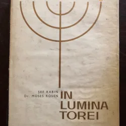 IN LUMINA TOREI - MOSES ROSEN