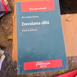 EXECUTAREA SILITA - ALINA GABRIELA TAMBULEA