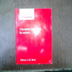 Garantia bancara la cerere - Zina Nedelea