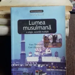 LUMEA MUSULMANA - YVES THORAVAL