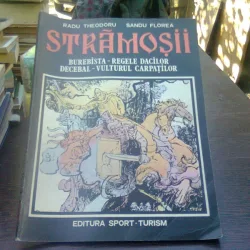 Stramosii - Radu Theodoru, Sandu Florea