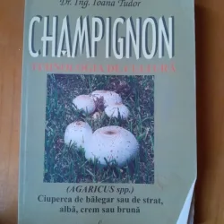 CHAMPIGNON. Tehnologia de cultura Dr.ing. Ioana Tudor