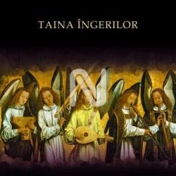 TAINA INGERILOR - VALENTIN NICOLAU